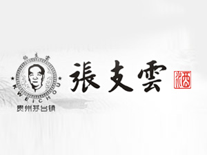 深圳市张支云品牌管理有限公司